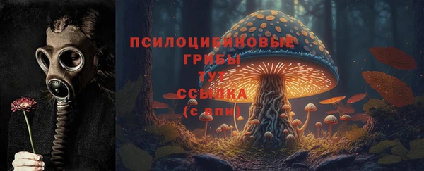 марихуана Абаза
