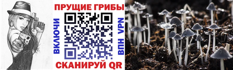 цены   Лабытнанги  блэк спрут tor  Галлюциногенные грибы мицелий 